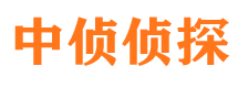 安远侦探社